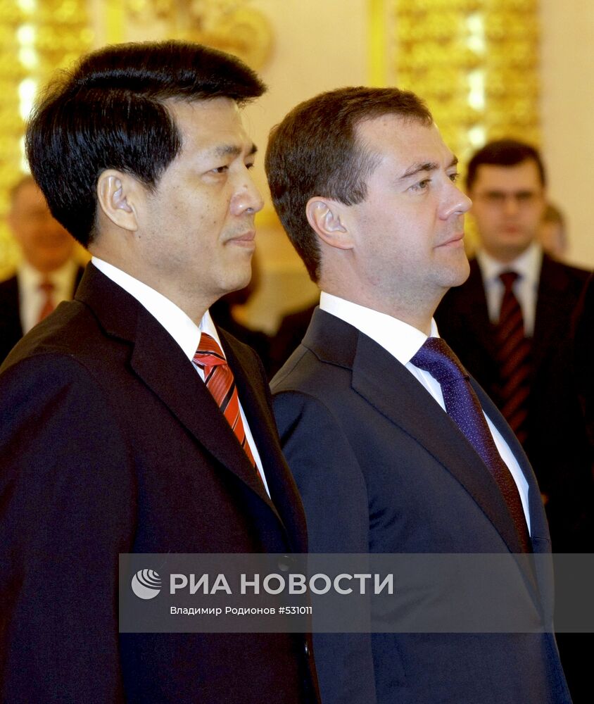 Д.Медведев принял верительные грамоты новых послов в РФ