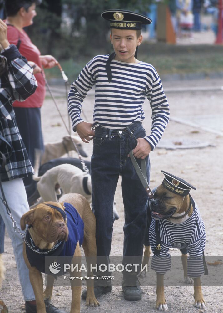 Мальчик в тельняшке с собаками