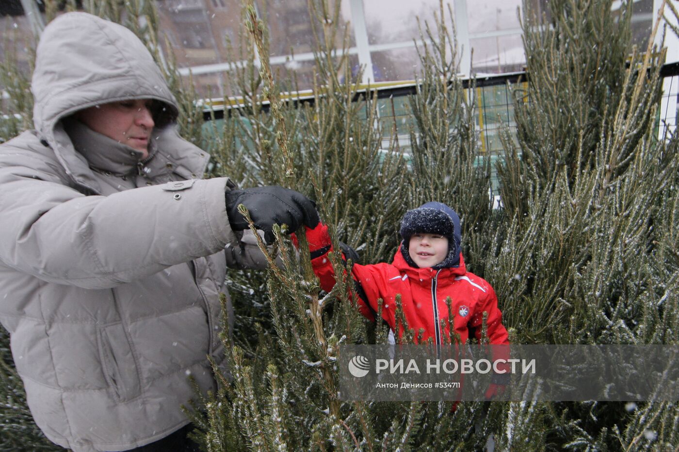 В Москве открылись елочные базары