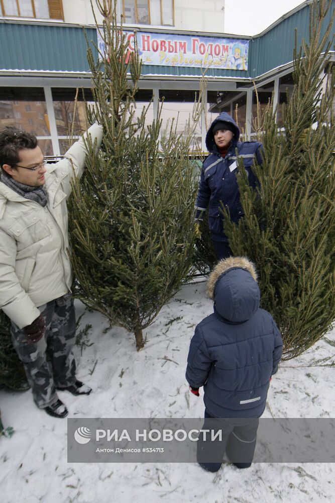 В Москве открылись елочные базары