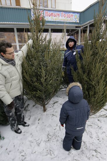 В Москве открылись елочные базары