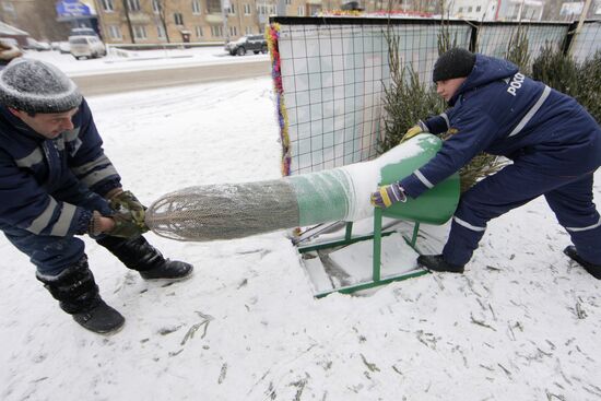 В Москве открылись елочные базары