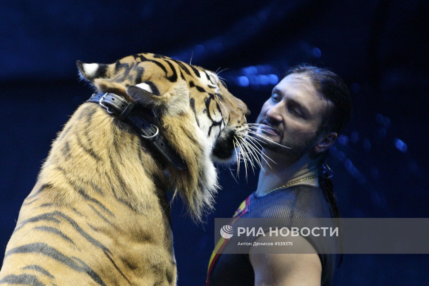 Премьера нового шоу "Цирка братьев Запашных" в Москве