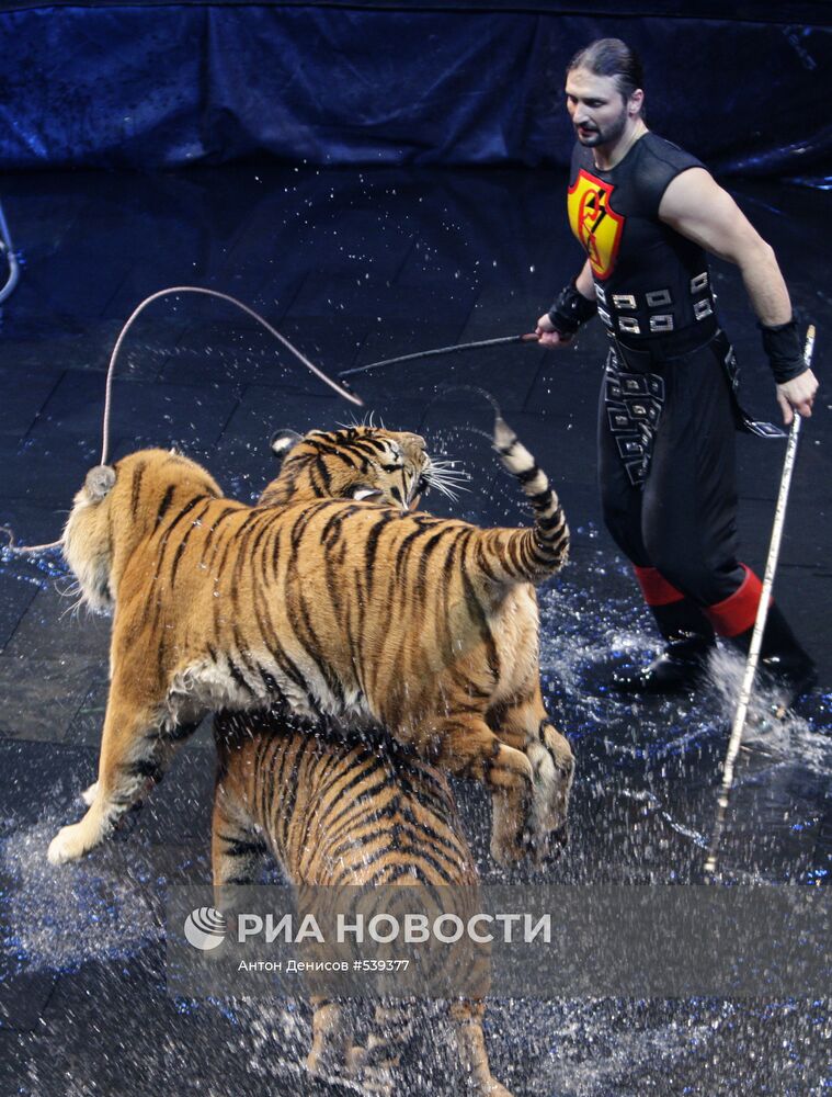 Премьера нового шоу "Цирка братьев Запашных" в Москве