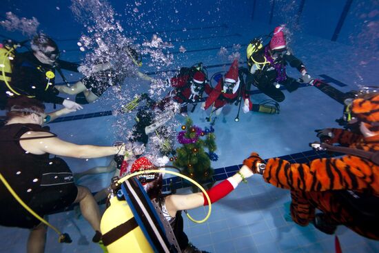 Члены клуба "Western Bridge" встретили Новый год под водой