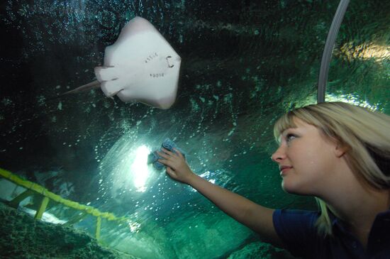 Открытие океанариума "Sоchi Discovery World" в Сочи