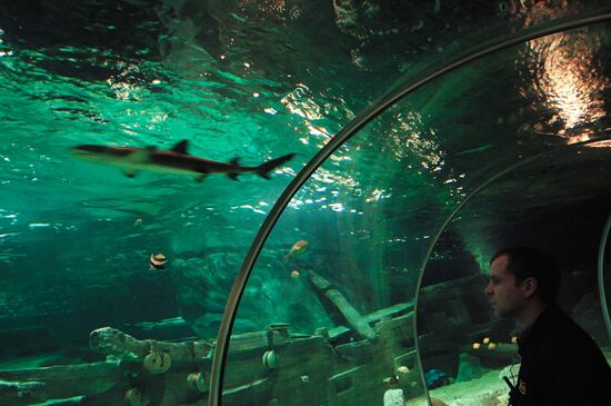 Открытие океанариума "Sоchi Discovery World" в Сочи
