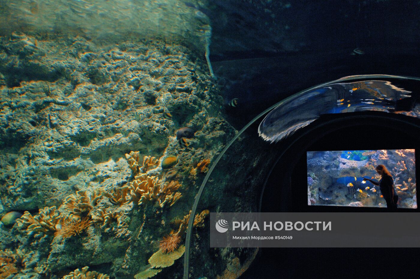 Открытие океанариума "Sоchi Discovery World" в Сочи