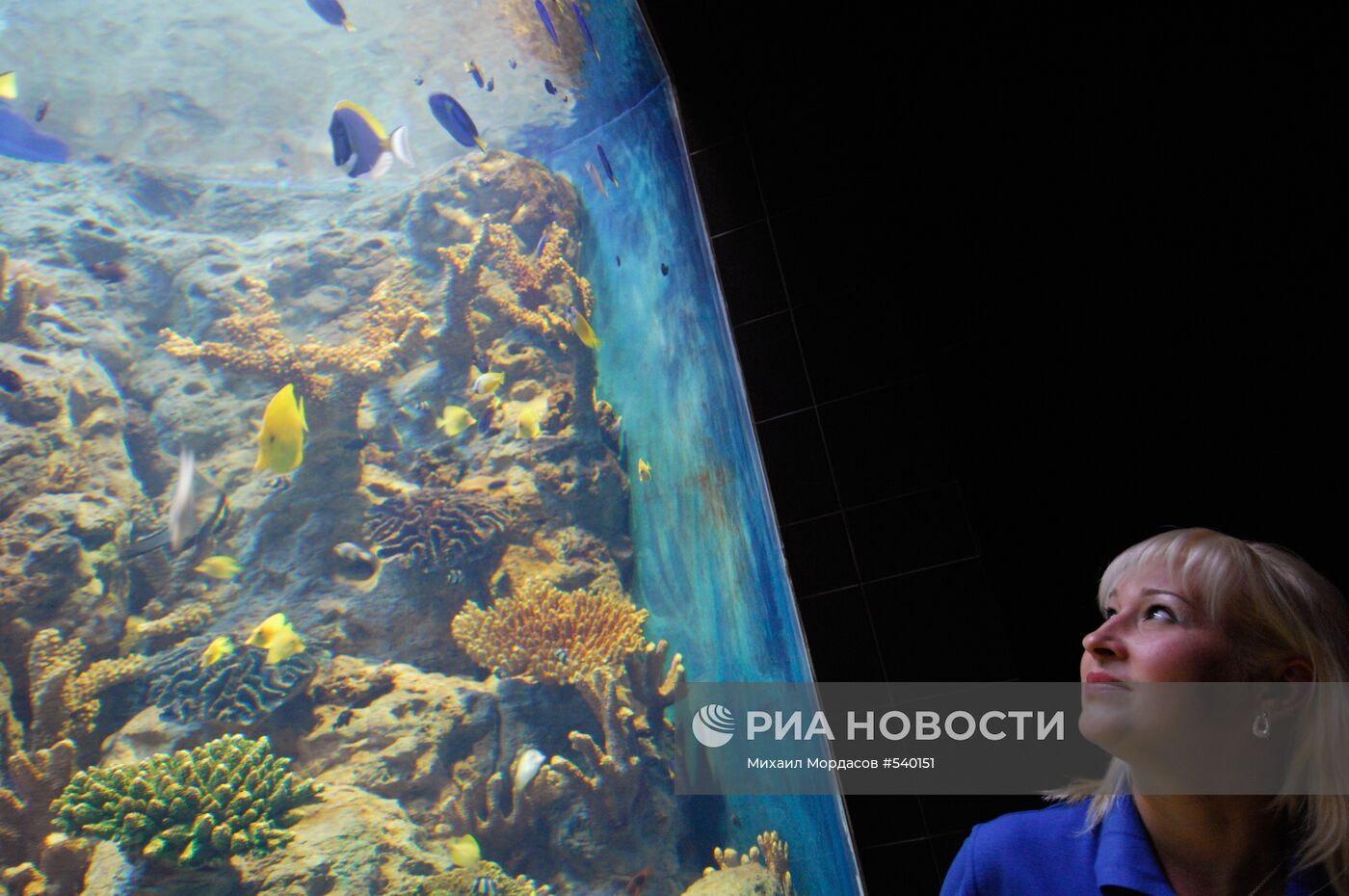 Открытие океанариума "Sоchi Discovery World" в Сочи