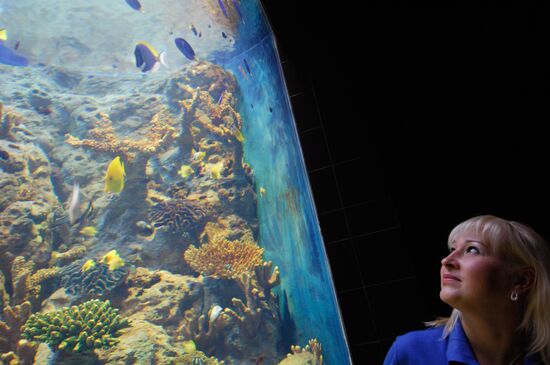 Открытие океанариума "Sоchi Discovery World" в Сочи
