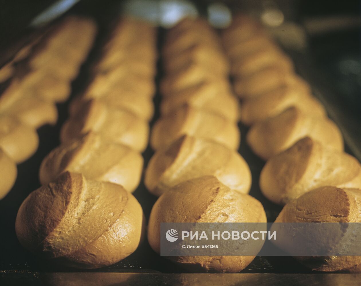 Хлеб Нечерноземья