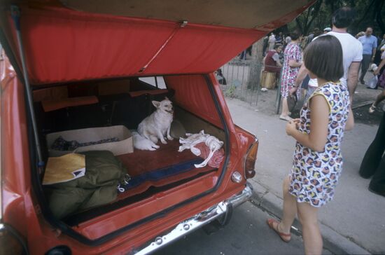 Птичий рынок