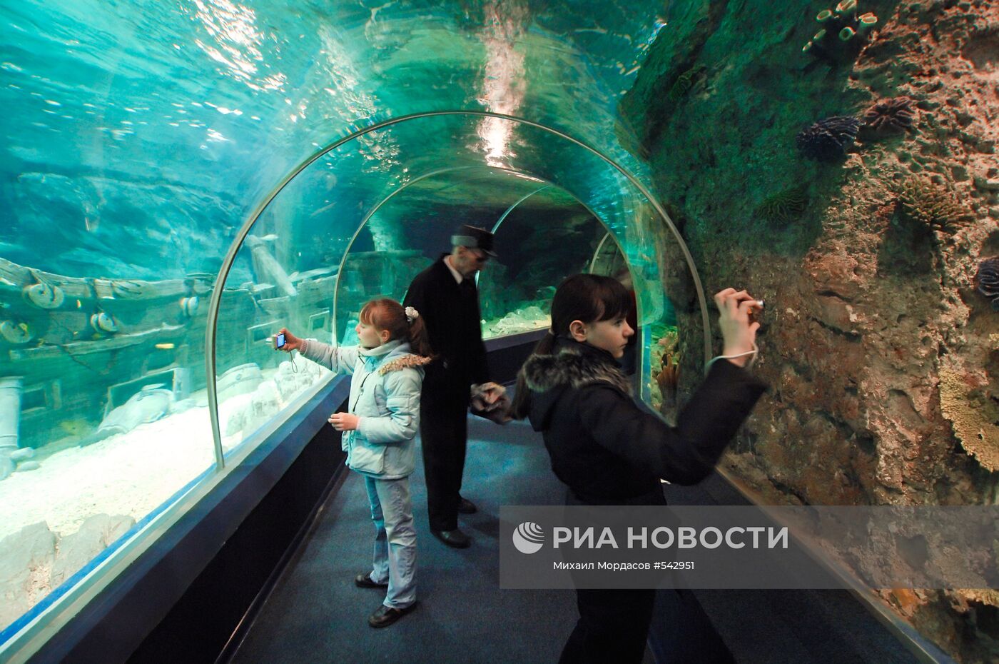 Открытие океанариума "Sоchi Discovery World" в Сочи