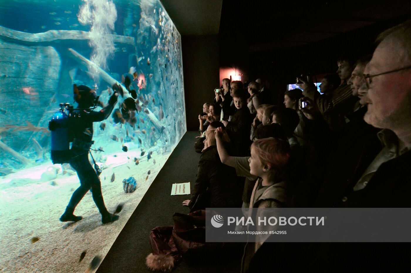 Открытие океанариума "Sоchi Discovery World" в Сочи