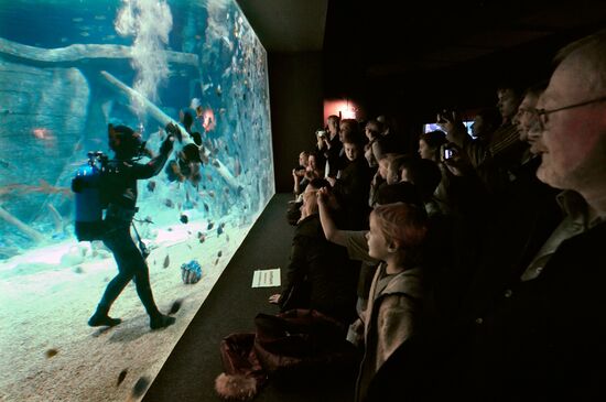 Открытие океанариума "Sоchi Discovery World" в Сочи