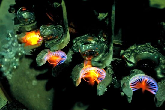 Томский электроламповый завод