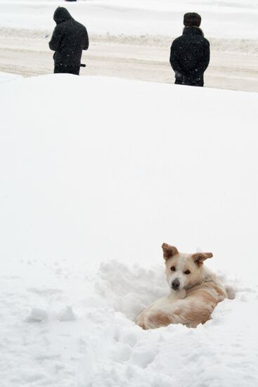 В Южно-Сахалинске после продолжительного снежного циклона