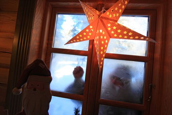 Международные игры Санта-Клаусов