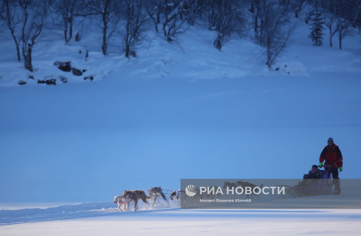 Прогулка на собаках хаски