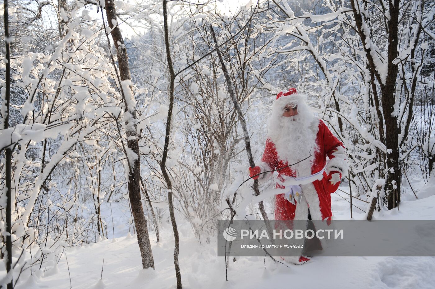 Зима в Подмосковье