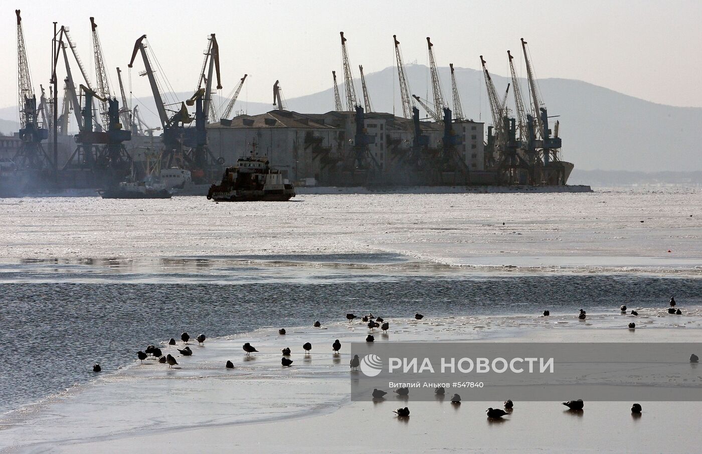 Замерзла бухта Золотой Рог во Владивостоке