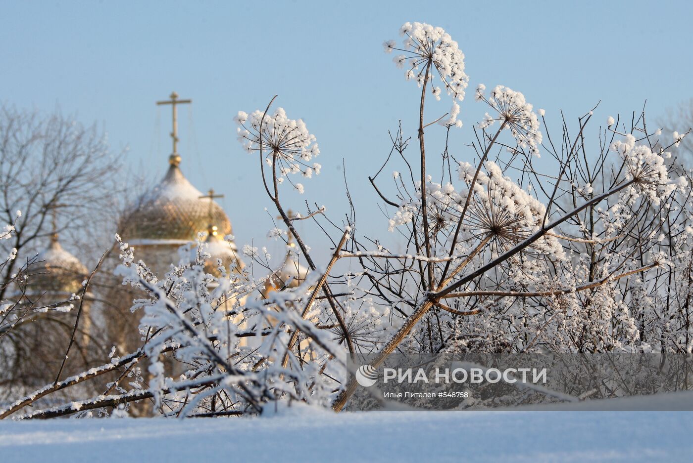 Собор Рождества Богородицы Лужецкого Ферапонтова монастыря