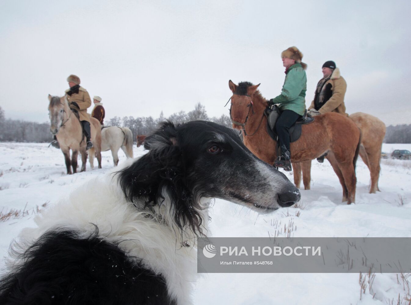 "Большая псовая охота"