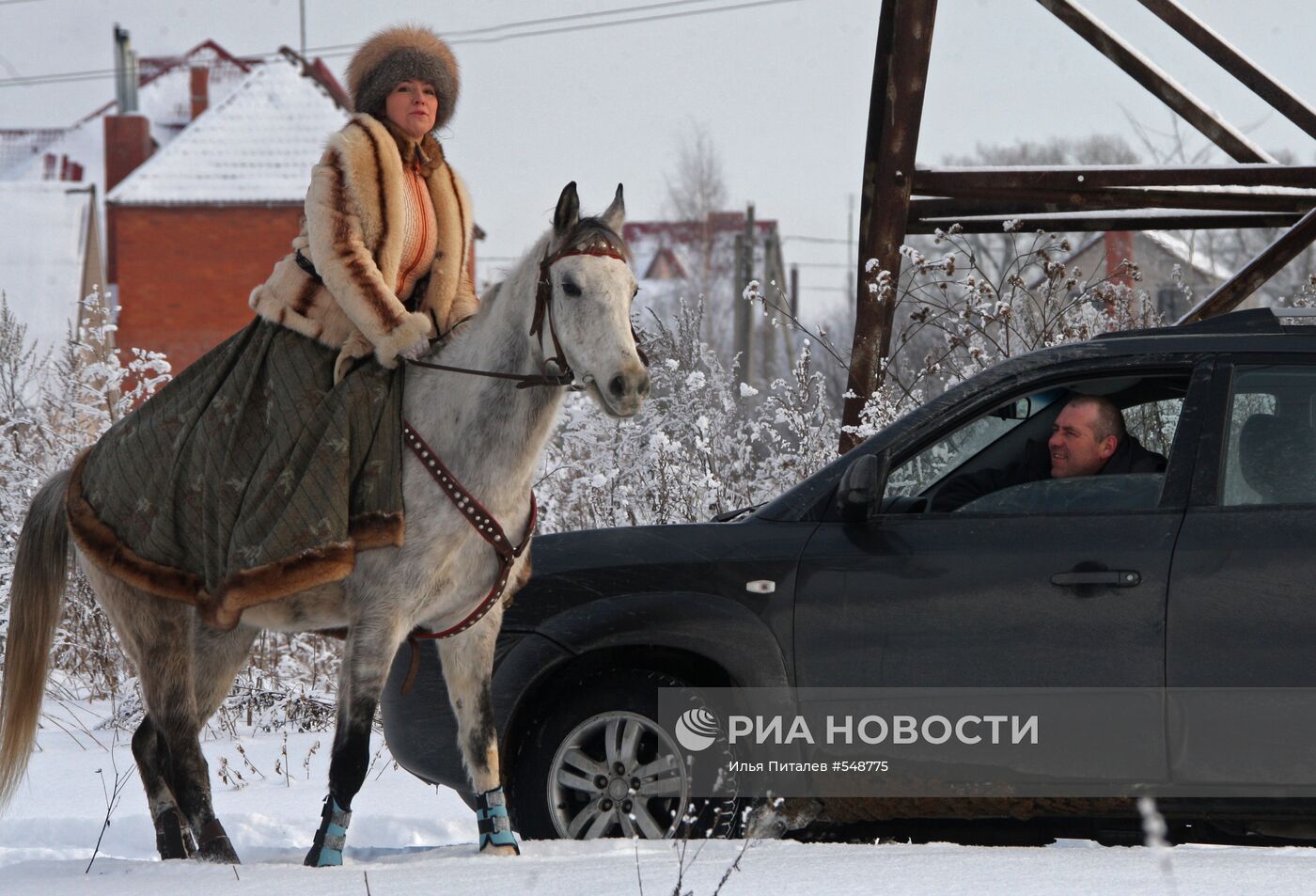 "Большая псовая охота"