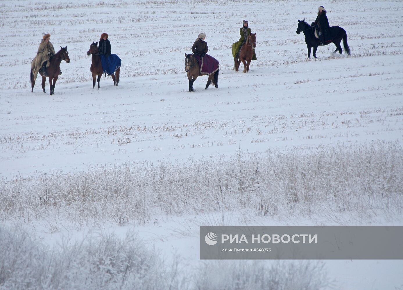 "Большая псовая охота"