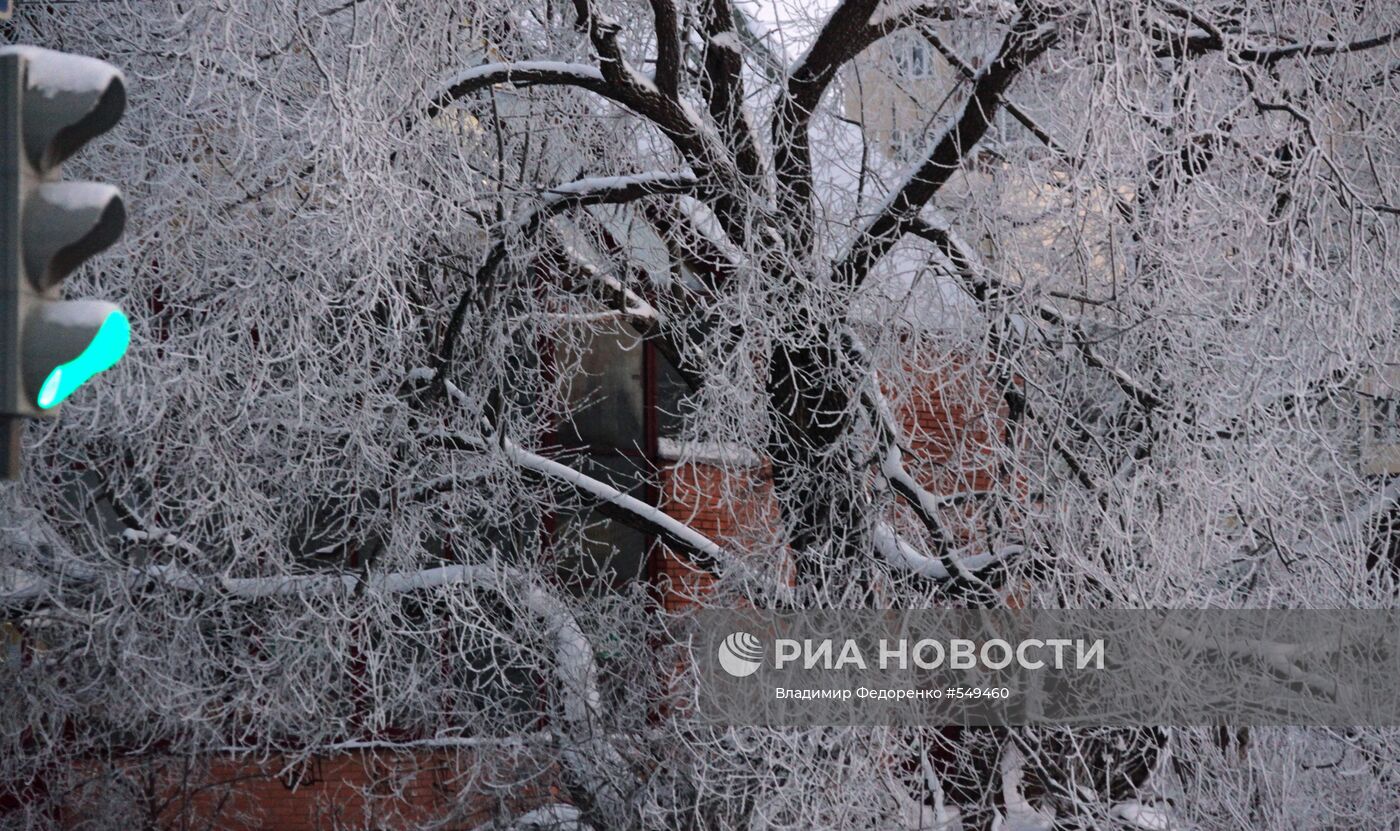 Зима в Калужской области