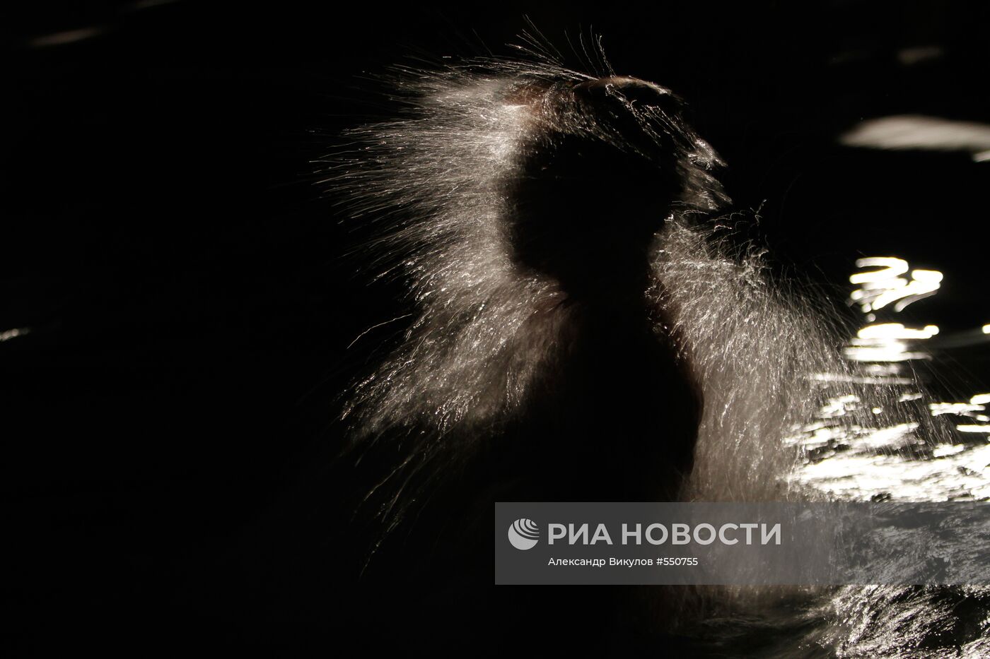 Крещенские купания в Ставропольском крае