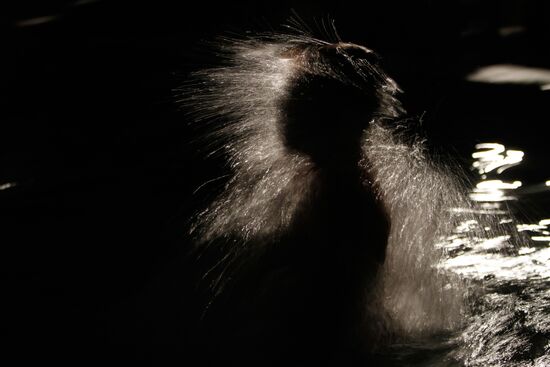 Крещенские купания в Ставропольском крае