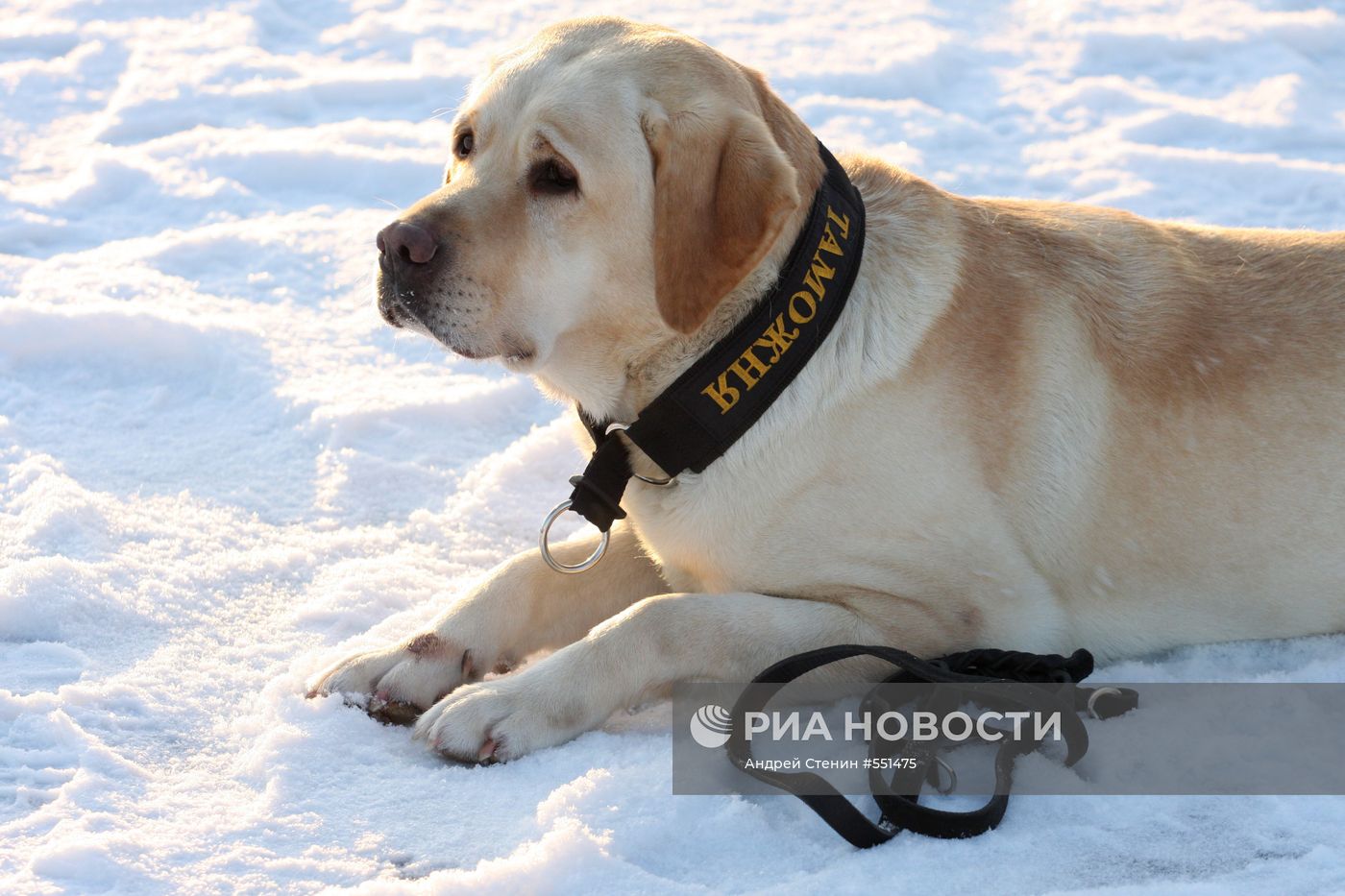 Кинологический учебный центр ФТС России