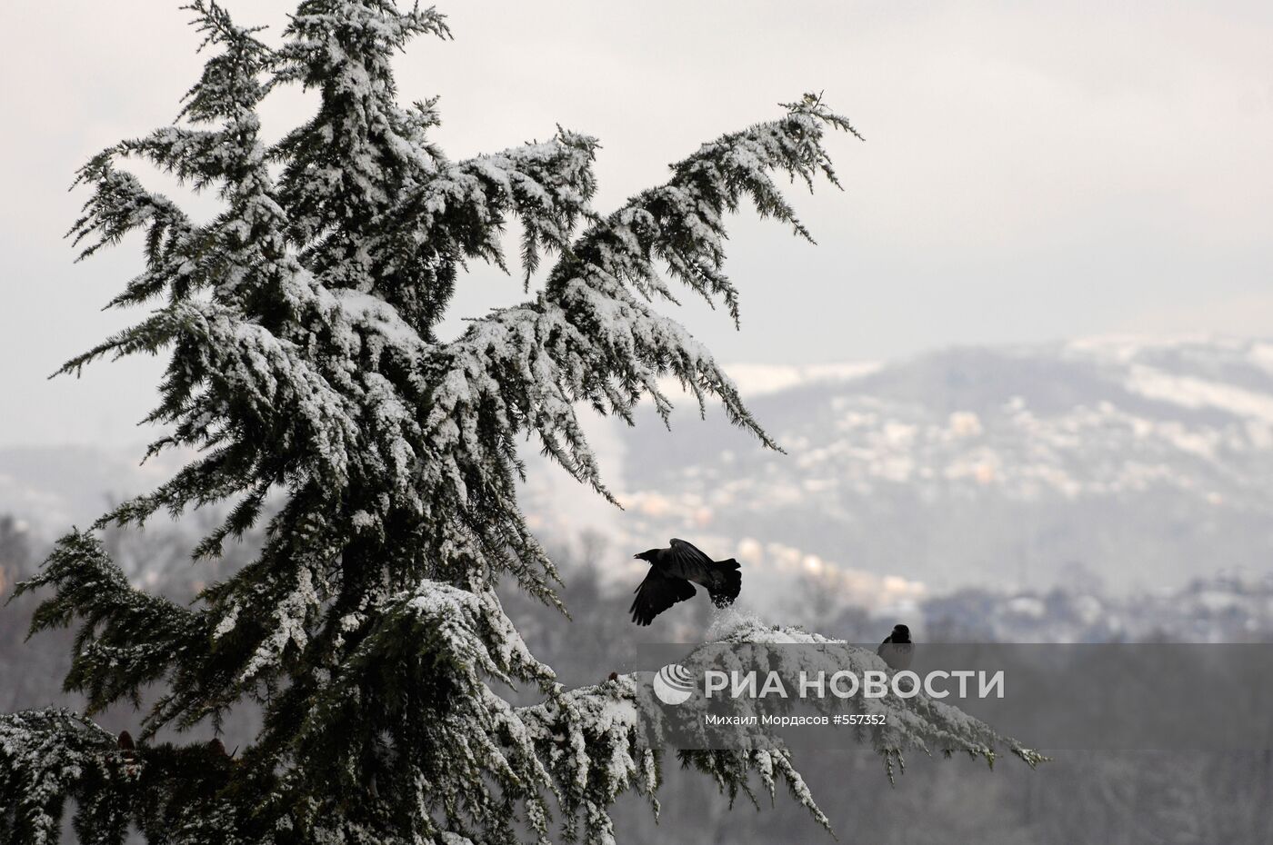 Первый снег в Сочи