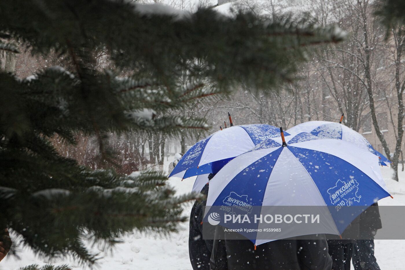 Сторонники Виктора Януковича в Запорожье
