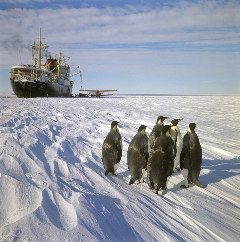 28 января - Открыта Антарктида