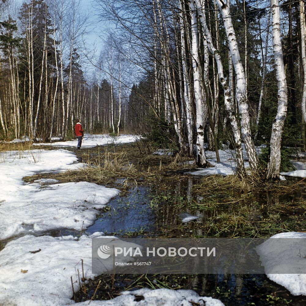 Весна в Подмосковье