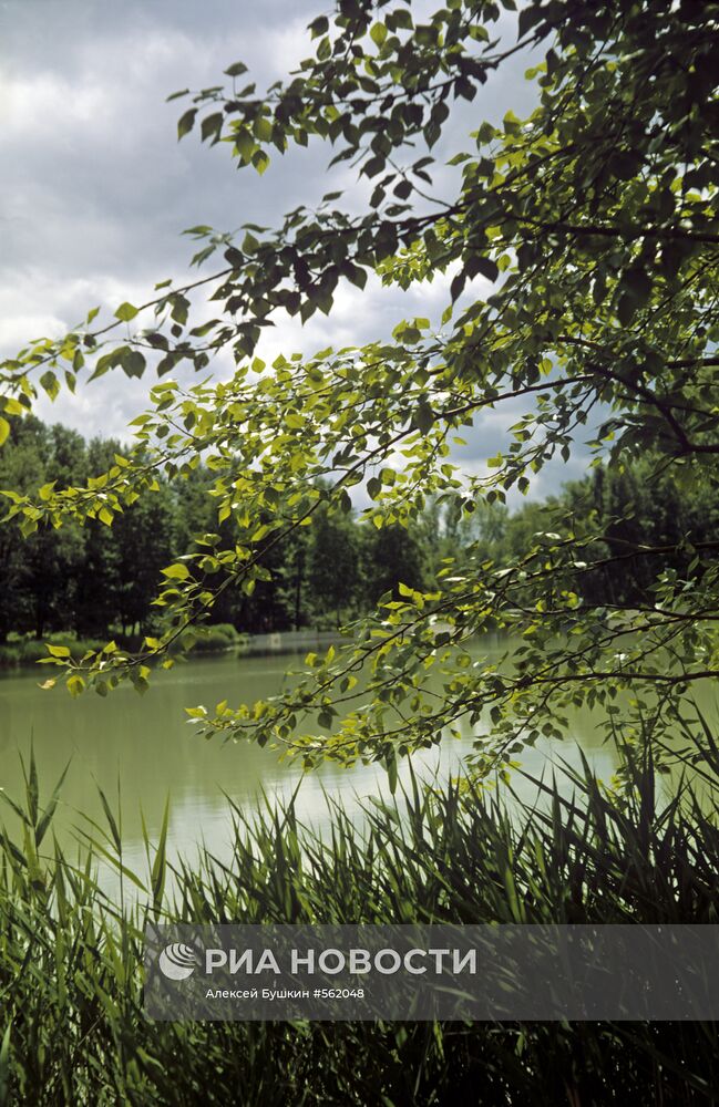 Лесопарковая зона МРЦ "Сергиевские минеральные воды"