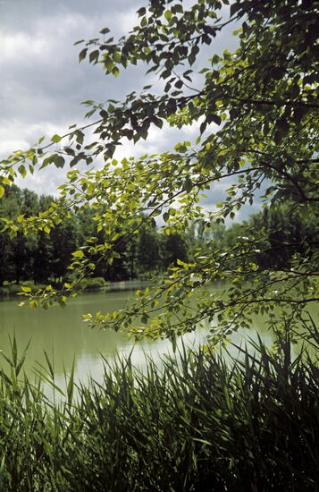 Лесопарковая зона МРЦ "Сергиевские минеральные воды"