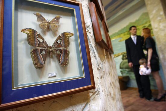 "Парк бабочек" открылся в Екатеринбурге
