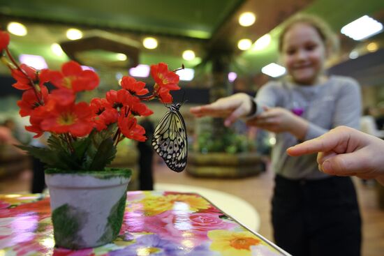 "Парк бабочек" открылся в Екатеринбурге