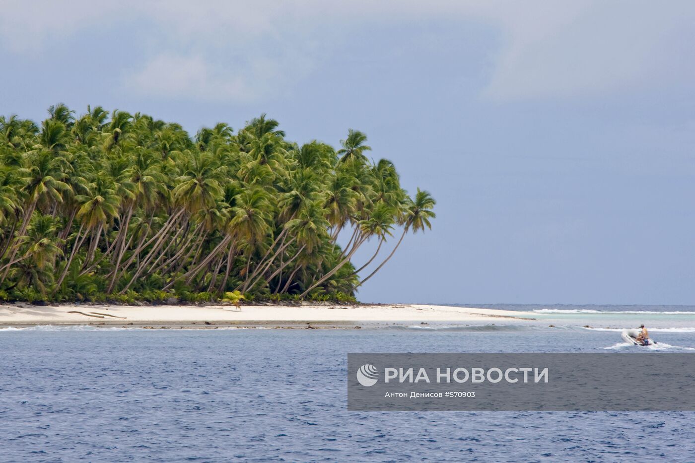 Кокосовые пальмы на берегу Индийского океана