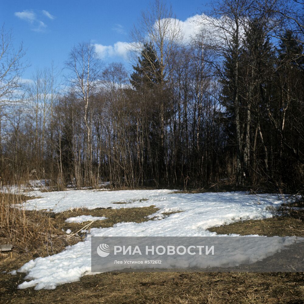 Весна в Вологодской области