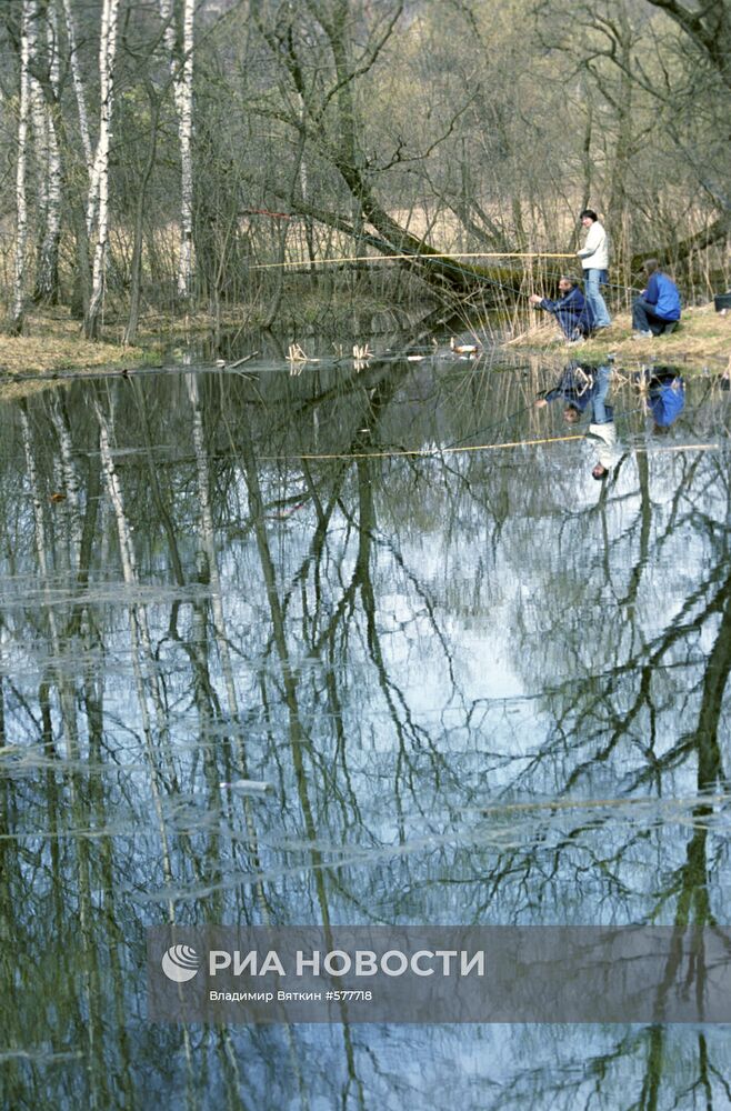 Весенний пейзаж