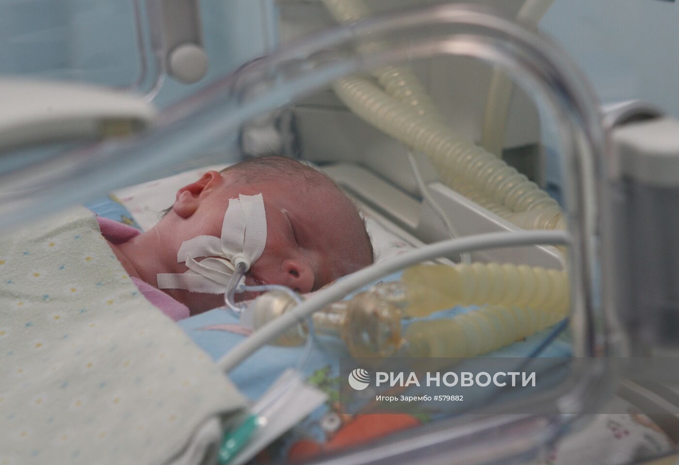 Новорожденный в Калининградском перинатальном центре