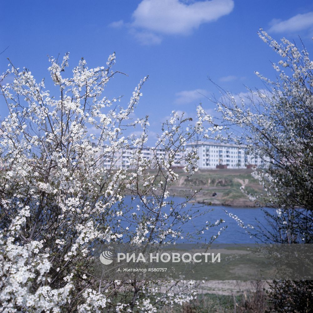Вид на город Краснодар