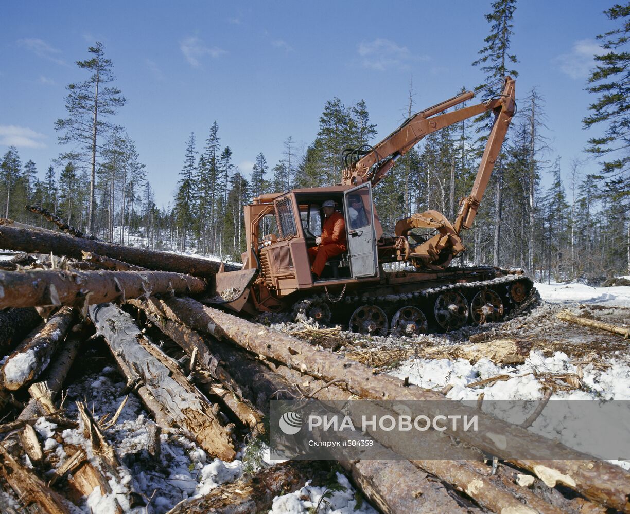 Гусеничный трактор ТДТ-55 | РИА Новости Медиабанк