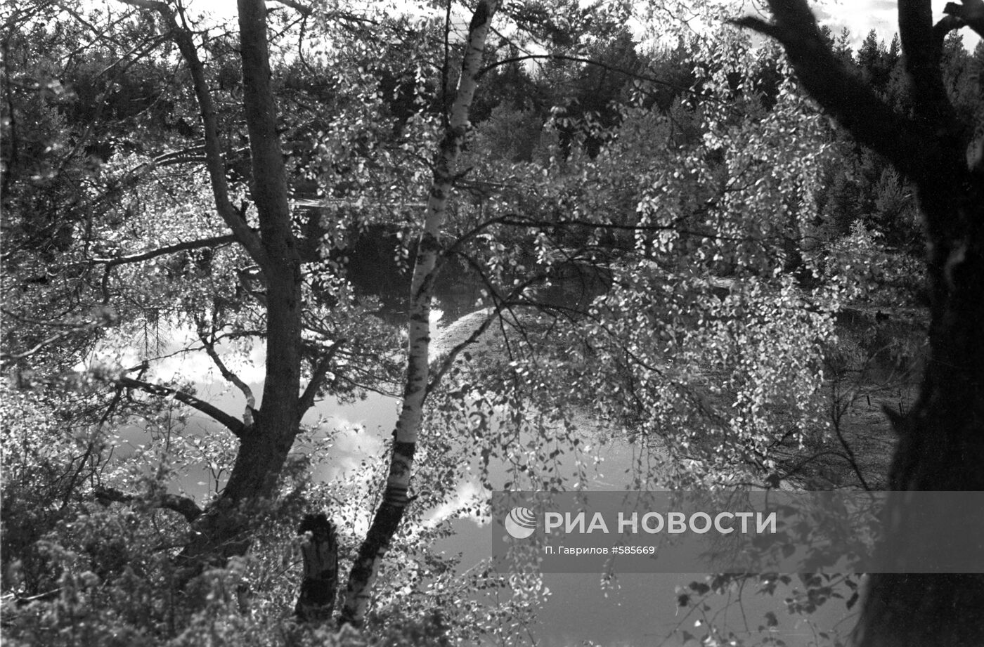 Плес на реке