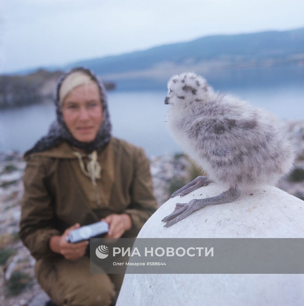Орнитологи на Байкале