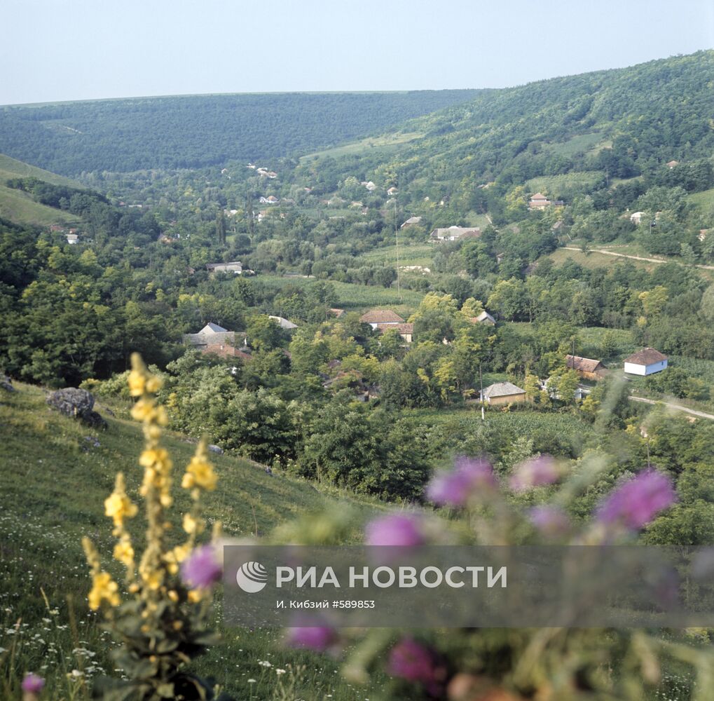 Вид на село Наславча